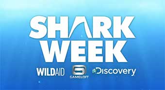 25ème anniversaire de la Shark Week