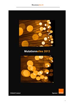 Cliquez pour télécharger la synthèse de l'étude Mutationnelles 2013