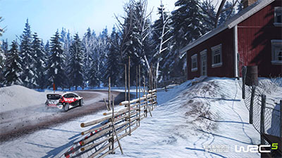 WRC 5 (image 4)