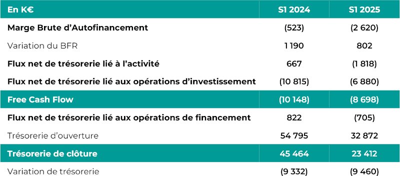 Don't Nod : Flux de Trésorerie simplifié
