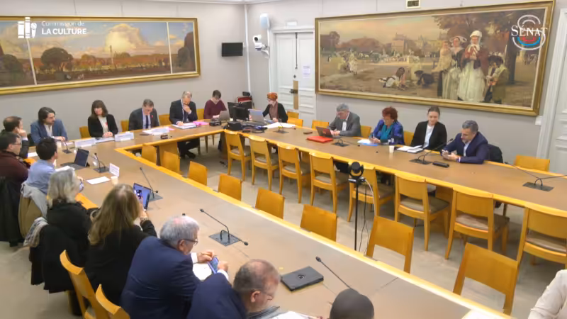 Table ronde Jeux vidéo au Sénat