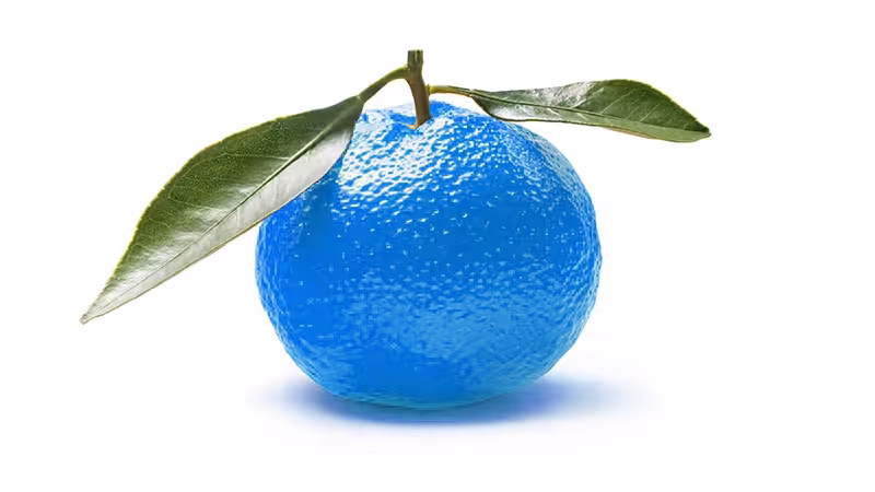 Blue Clementine : un nouveau studio de jeux vidéo à Paris
