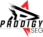 Prodigy Agency